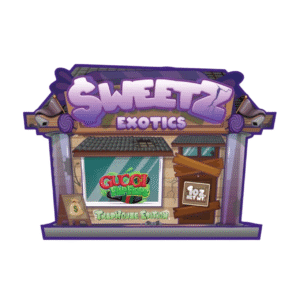 sweetz exotics gucci flip flops